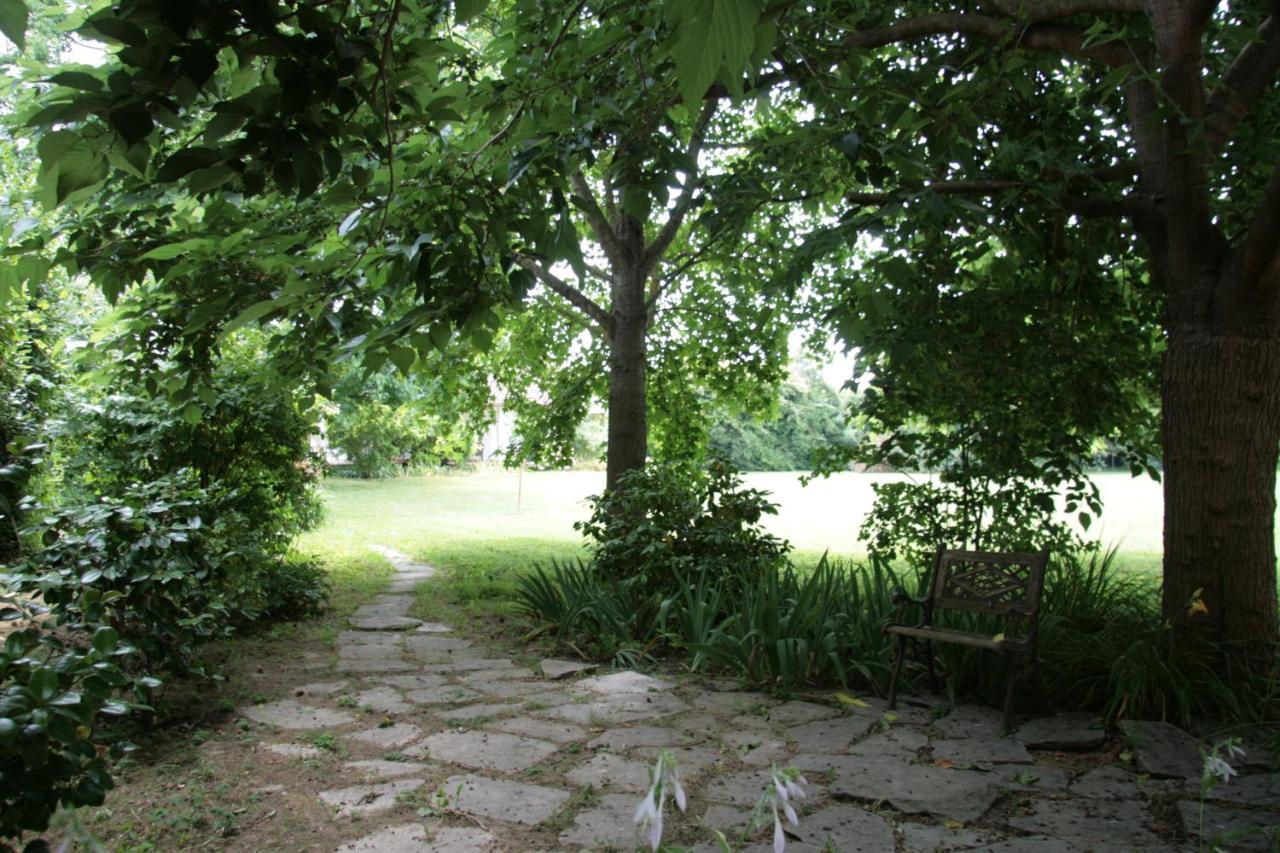 Pietrasanta - Versilia - Villa Arzilla Garden Con Piscina Тонфано Экстерьер фото