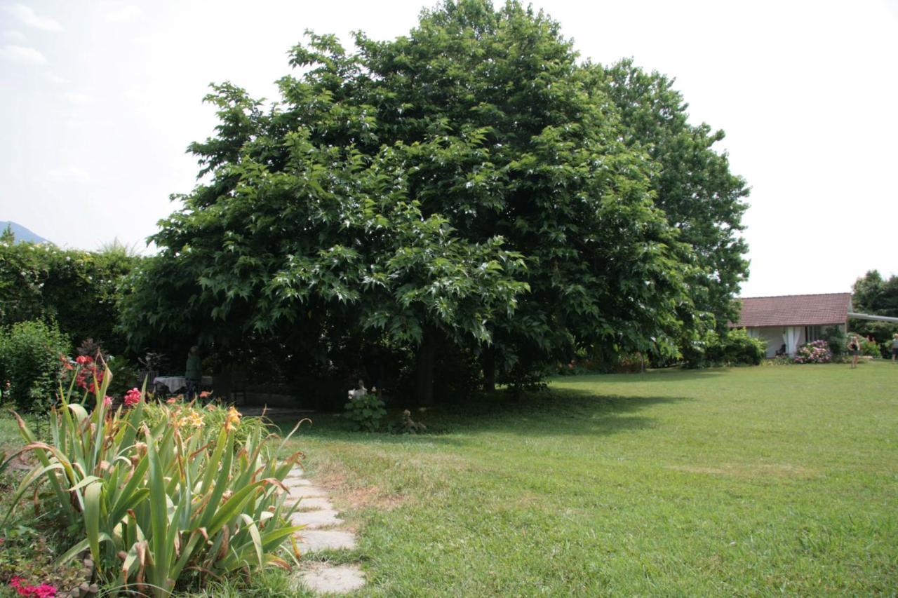 Pietrasanta - Versilia - Villa Arzilla Garden Con Piscina Тонфано Экстерьер фото